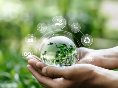 Bild Transformation Image Card Circular Economy Business Models