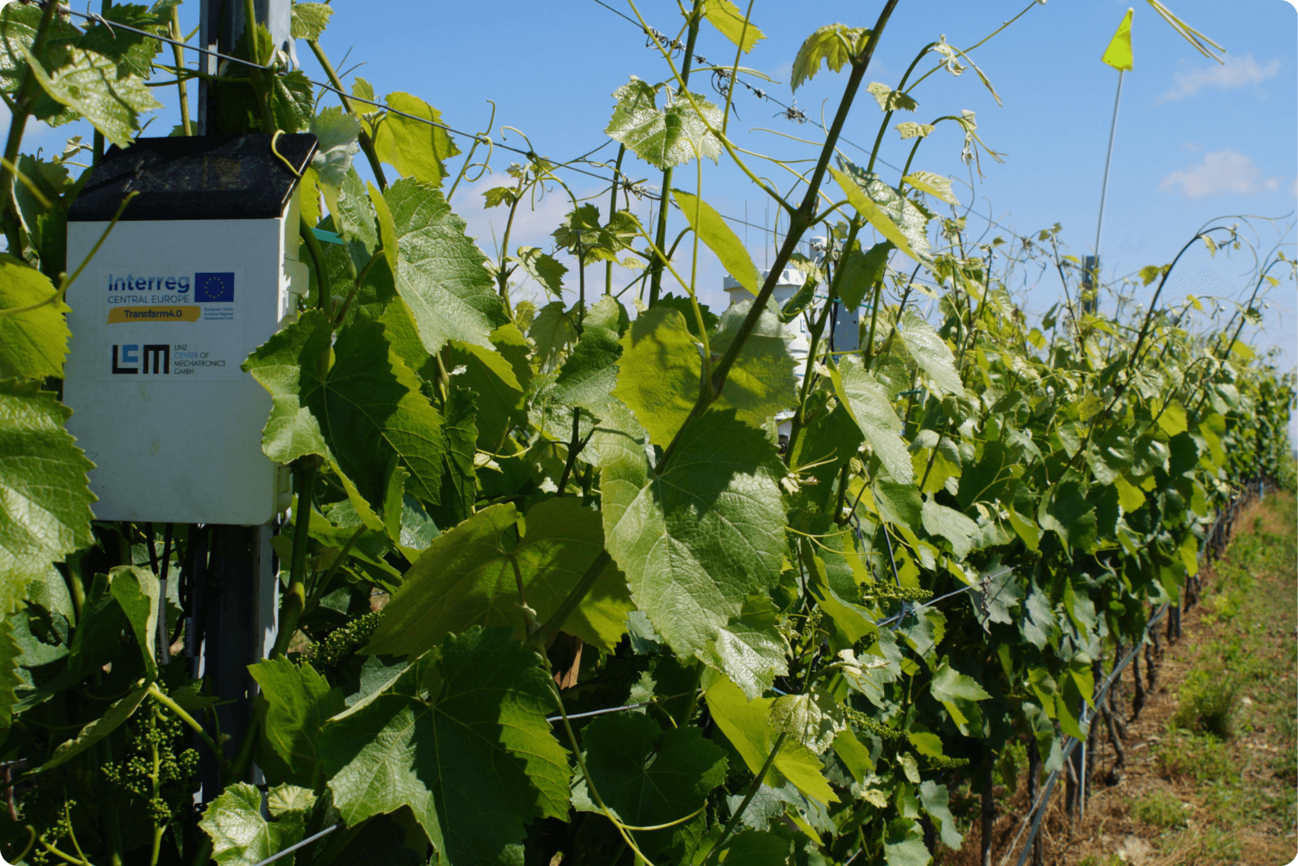 Post AGRI DIGITAL GROWTH research project