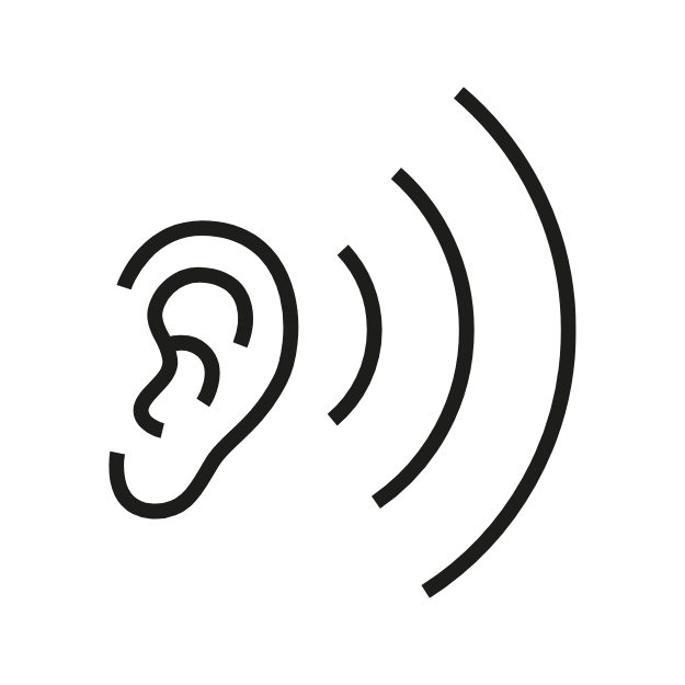 Icon measuring services acoustic