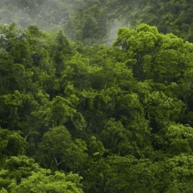 Image Green Tech climate neutrality