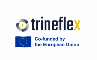 Bild Projekt TRINEFLEX